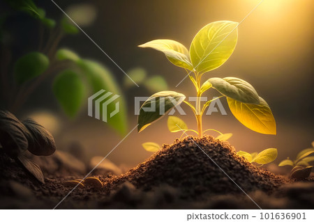 Plant sprouts from the ground with sunlight shining on it. Generative AI 101636901