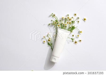 Empty plastic bottles, empty bottles for cosmetics with extracts from matricaria chamomilla. Mockup for design, organic cosmetics, beauty products concept 101637193