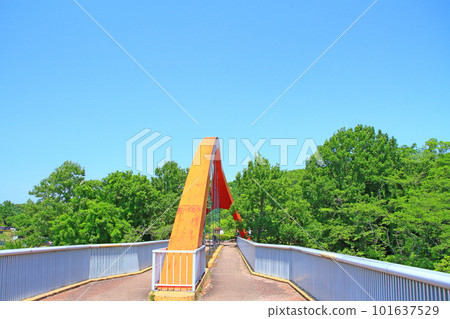 豐田市倉池公園彩虹橋風景 豐田市倉池公園彩虹橋風景 101637529
