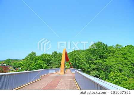 豐田市倉池公園彩虹橋風景 101637531