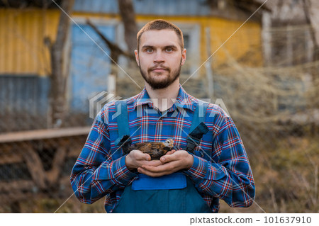 A satisfied man farmer of European Caucasian appearance, bearded, in a shirt and overalls, holds a dwarf chicken in his hands against the background of the countryside 101637910
