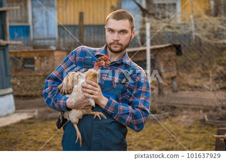 Farmer handsome serious european caucasian rural portrait in countryside with beard, shirt and overalls looks at camera with chicken white neck in his arms on the outdoor 101637929