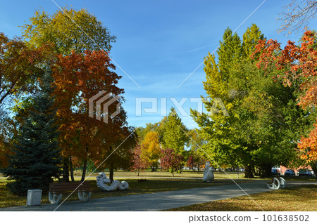 A beautiful multicolored landscape in an autumn park under a blue sky on a sunny day 101638502