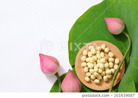 Lotus buds, green leaves and lotus seeds on white background. Blank space for text or design. Flower national of Vietnam Nam. Top view, flat lay. (Nelumbo nucifera) 101639087