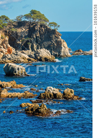 Nice detail of the Spanish coast in Costa Brava, near town Palamos Nice detail of the Spanish coast in Costa Brava, near town Palamos 101639158