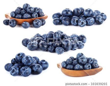fresh blueberry fruits on white background fresh blueberry fruits on white background 101639201