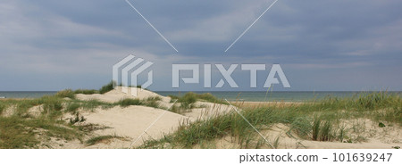 Sand dunes, beach scene near Hirtshals, Denmark. Sand dunes, beach scene near Hirtshals, Denmark. 101639247