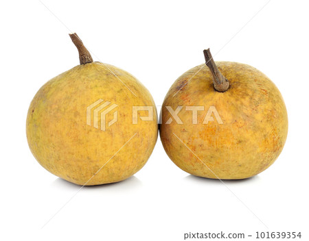 Santol fruit isolated on white background 101639354