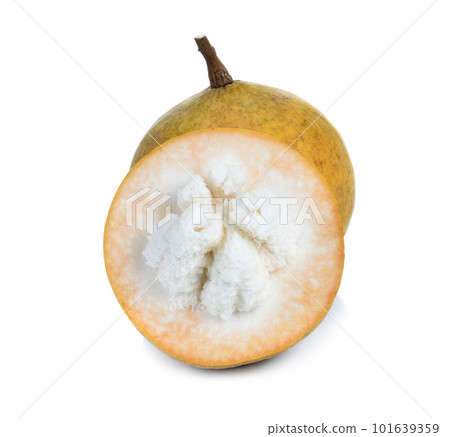 Santol fruit isolated on white background Santol fruit isolated on white background 101639359