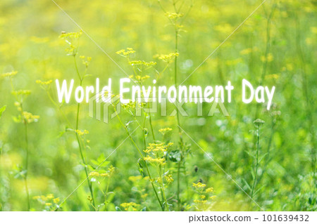 World environment dayt sunny blurry organic video background. Defocus summer. Selective focus 101639432
