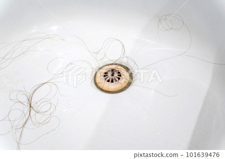 Pile of hair loss in a bathroom after wash hair, on white background. Solutions for hair loss. 101639476