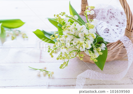 鈴蘭花籃 101639560