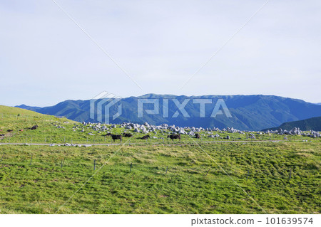 Shikoku karst 101639574