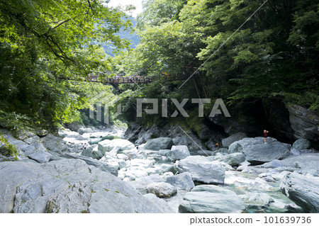 Kazura Bridge Kazura Bridge 101639736