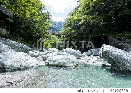 Kazura Bridge 101639739