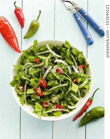 Stellaria salad bowl Stellaria salad bowl 101640221