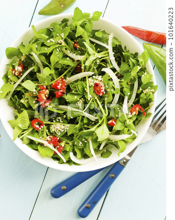 Stellaria salad bowl Stellaria salad bowl 101640223
