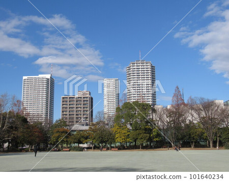 木場公園多功能廣場附近 木場公園多功能廣場附近 101640234