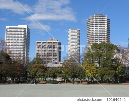 木場公園多功能廣場附近 101640241