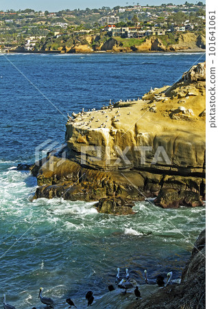 Day along coastal La Jolla Day along coastal La Jolla 101641061