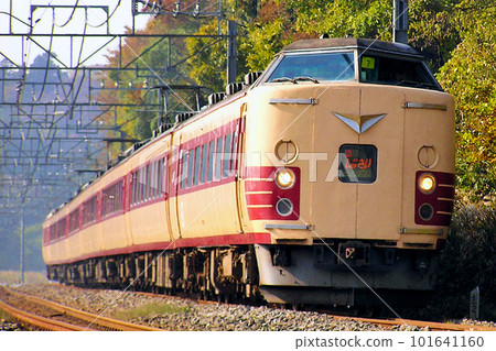 Limited Express Shiosai: Series 183 0 (8-car formation: Tokyo ⇔ Choshi) 101641160