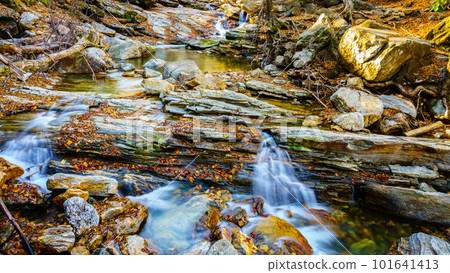 Yellowstone Prong creek 101641413