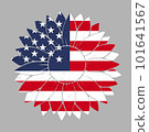 Symbol 4th of July, USA flag sunflower 101641567