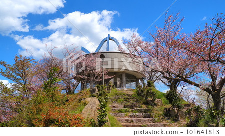 大三島多多羅展望台 1 101641813