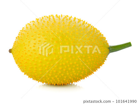 Gac, Spring Bitter Cucumber, Baby Jackfruit, Cochinchin Gourd, Spiny Bitter Gourd, Sweet Gourd 101641990