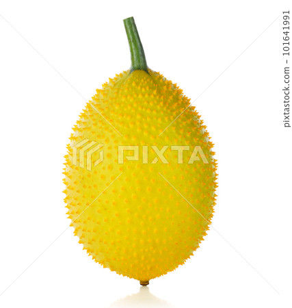 Gac, Spring Bitter Cucumber, Baby Jackfruit, Cochinchin Gourd, Spiny Bitter Gourd, Sweet Gourd Gac, Spring Bitter Cucumber, Baby Jackfruit, Cochinchin Gourd, Spiny Bitter Gourd, Sweet Gourd 101641991
