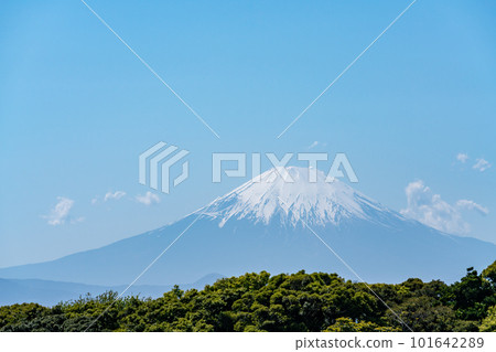 Clear skies and Mt. Fuji seen from Enoshima 101642289