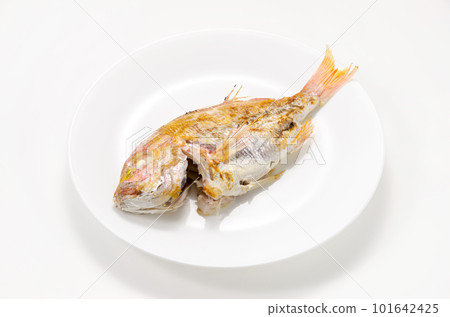 Salt-grilled renkodai 101642425