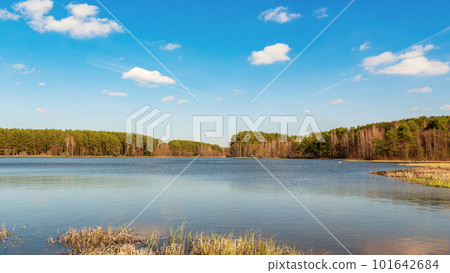 A tranquil water landscape. Forest lake pine forest bright sky A tranquil water landscape. Forest lake pine forest bright sky 101642684