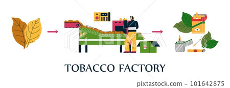 Tobacco factory manufacturing process, flat vector illustration isolated on white background. 101642875