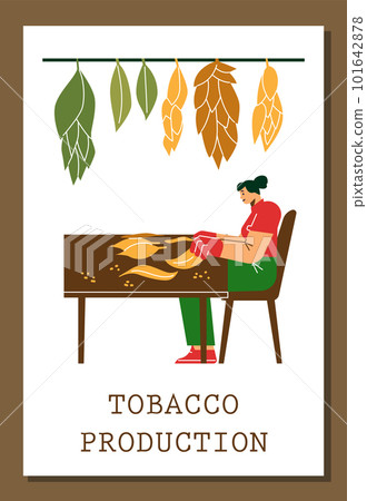 Tobacco production advertising poster, flat vector illustration. Tobacco production advertising poster, flat vector illustration. 101642878