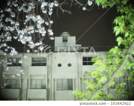 White flowers and buildings 101642922
