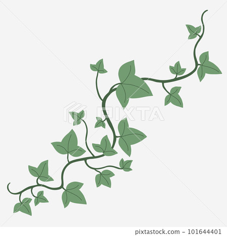Floral ivy drawing decorative ornament flat design. 101644401