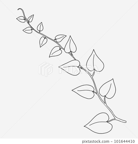 Floral ivy drawing decorative ornament flat design. 101644410
