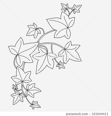 Floral ivy drawing decorative ornament flat design. 101644411