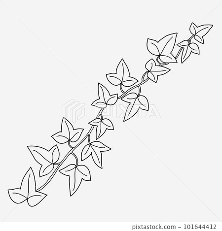 Floral ivy drawing decorative ornament flat design. 101644412