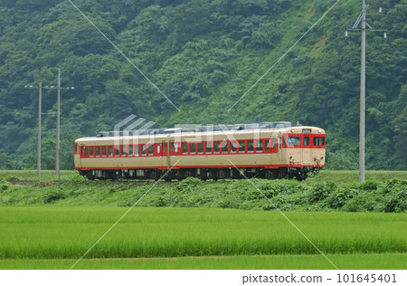 大糸線 Kotaki-Nechi JR West Kiha 28-2119 + Kiha 58-596（金澤） 101645401