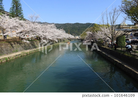 從京流橋遠眺廣道橋、岡崎運河（琵琶湖運河）和櫻花 101646109