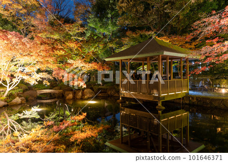 《東京》紅葉點亮・大田黑公園 101646371