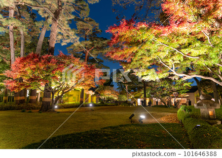 《東京》紅葉點亮・大田黑公園 101646388