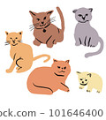 Sitting cat loose illustration 101646400
