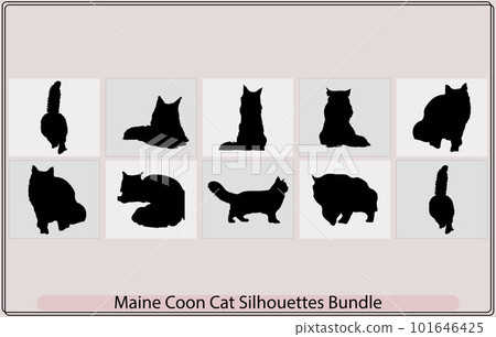 Cat silhouettes,Maine Coon cat icons and silhouettes,Sitting Maine Coon Cat Felis Catus On a Front View Silhouette, Cat silhouettes,Maine Coon cat icons and silhouettes,Sitting Maine Coon Cat Felis Catus On a Front View Silhouette, 101646425