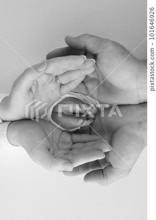 Children's leg in the hands of mother, father, parents. Feet of a tiny newborn close up. Little baby foot. Mom and her child. Happy family concept. Black and white photo of motherhood. Children's leg in the hands of mother, father, parents. Feet of a tiny newborn close up. Little baby foot. Mom and her child. Happy family concept. Black and white photo of motherhood. 101646926