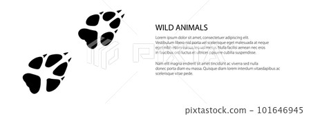 Trace of forest animal banner 101646945