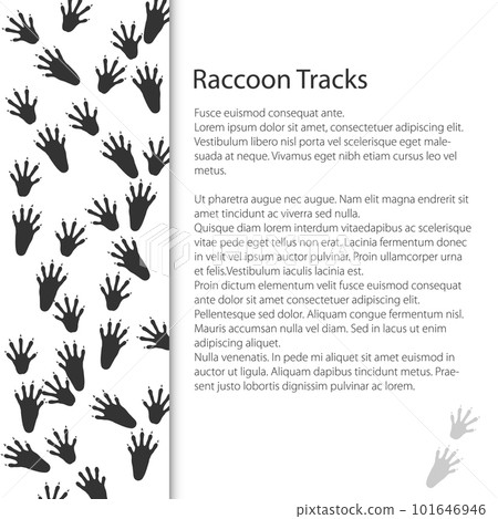 Cover Design with Traces of Forest Animal 101646946