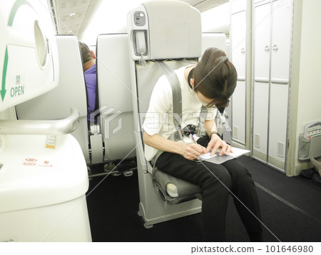Cabin crew 101646980